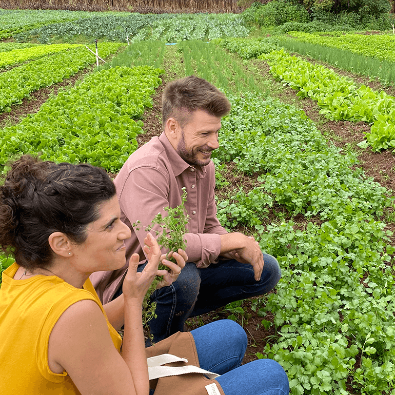 Rodrigo o estagiario, the intern, kneeling in a spice field. Maroon shirt and blue jeans. Woman kneeling next to him in a yellow shirt and dark hair - Link to Instagram post