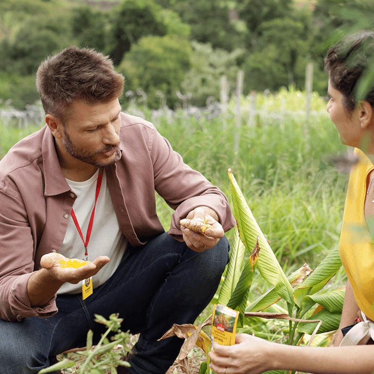 Rodrigo o estagiario, the intern, kneeling in a spice field. Close up shot. Maroon shirt and blue jeans. Woman kneeling next to him in a yellow shirt and dark hair.  - Link to Instagram post