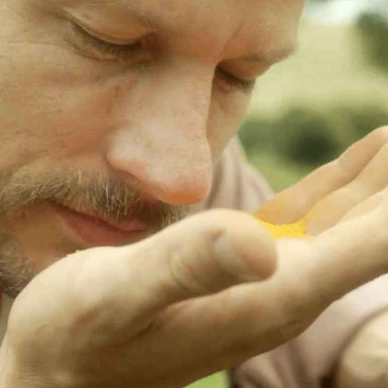 A close up image of Rodrigo o estagiario, the intern smelling a yellow color spice. Face and hand are in the frame - Link to Instagram post